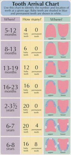 baby food guide by age