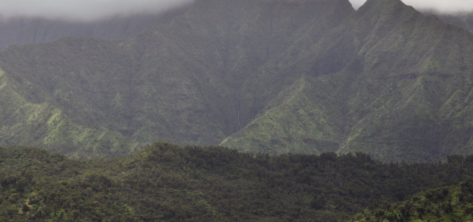 guided hiking tours in hawaii