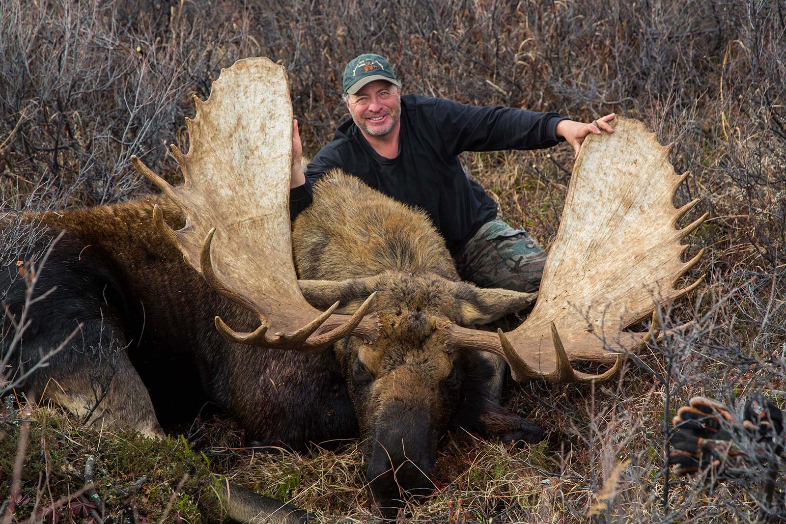 guided moose hunts in canada