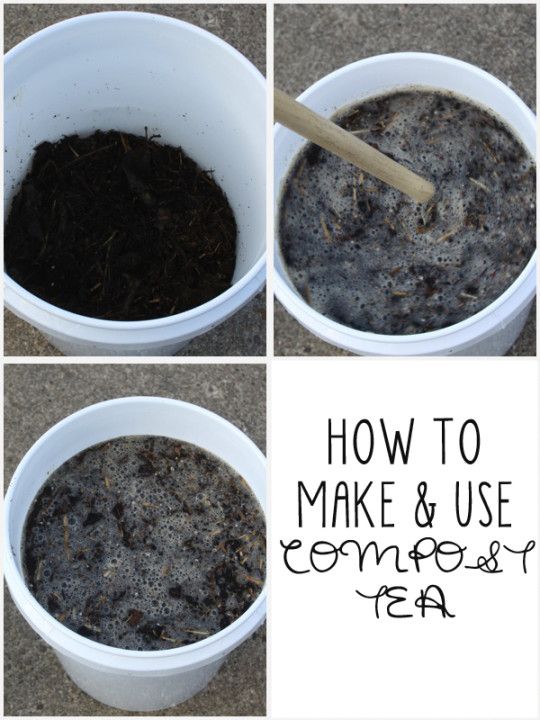 how to make and use compost the ultimate guide