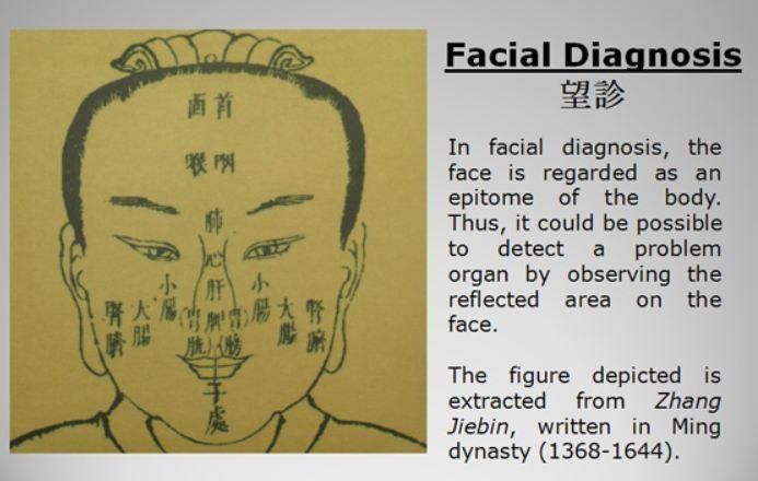 traditional chinese medicine diagnosis study guide