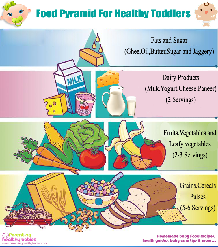 food guide pyramid for young children