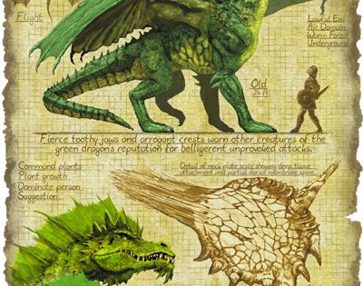 a practical guide to dragons
