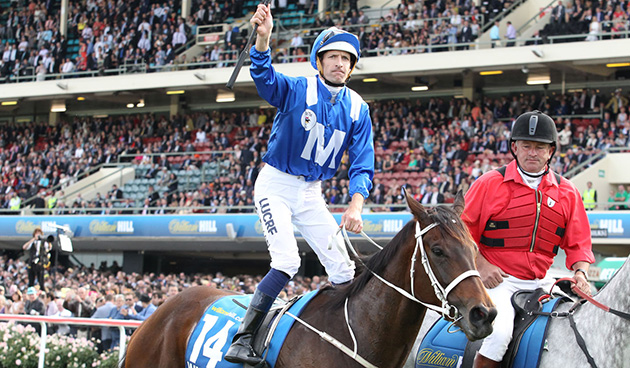 moonee valley cox plate form guide