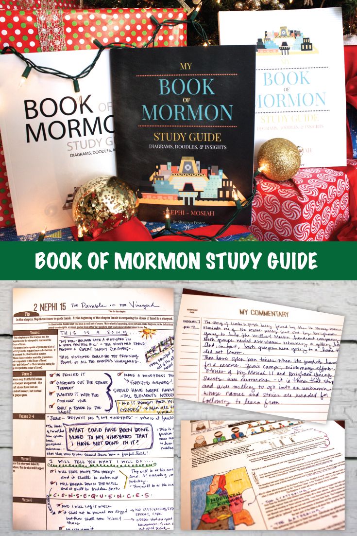 the story bible study guide
