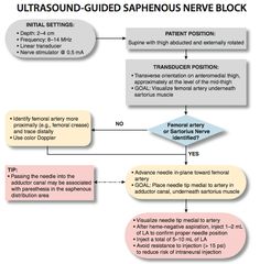 nysora ultrasound guided interscalene block