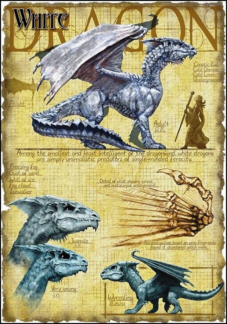a practical guide to dragons