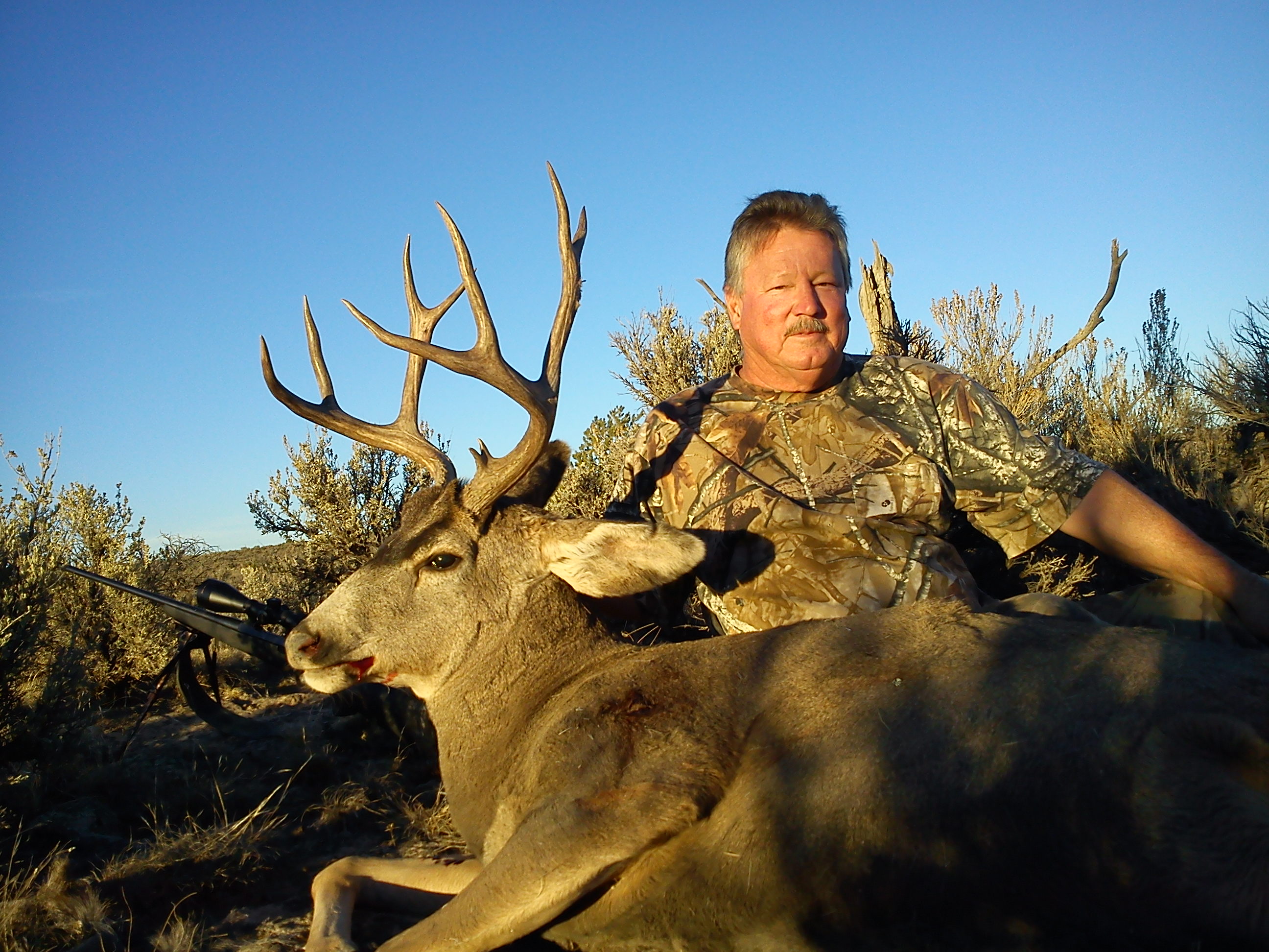 guided elk hunts in new mexico