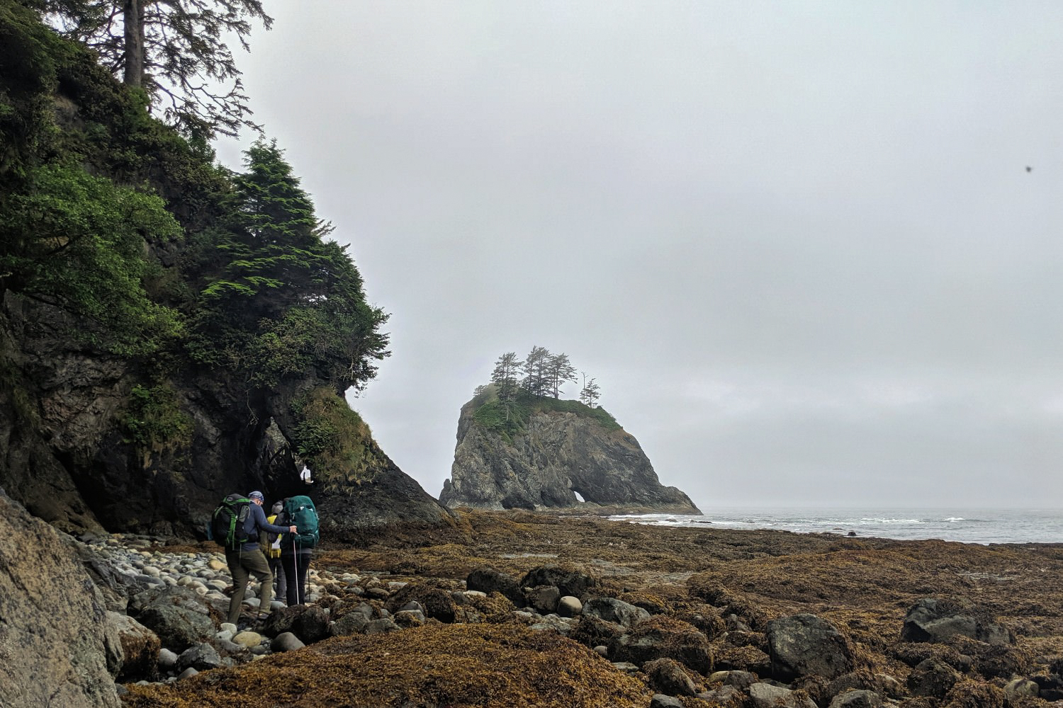 olympic national park backpacking guide