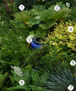 flower planting guide zone 6