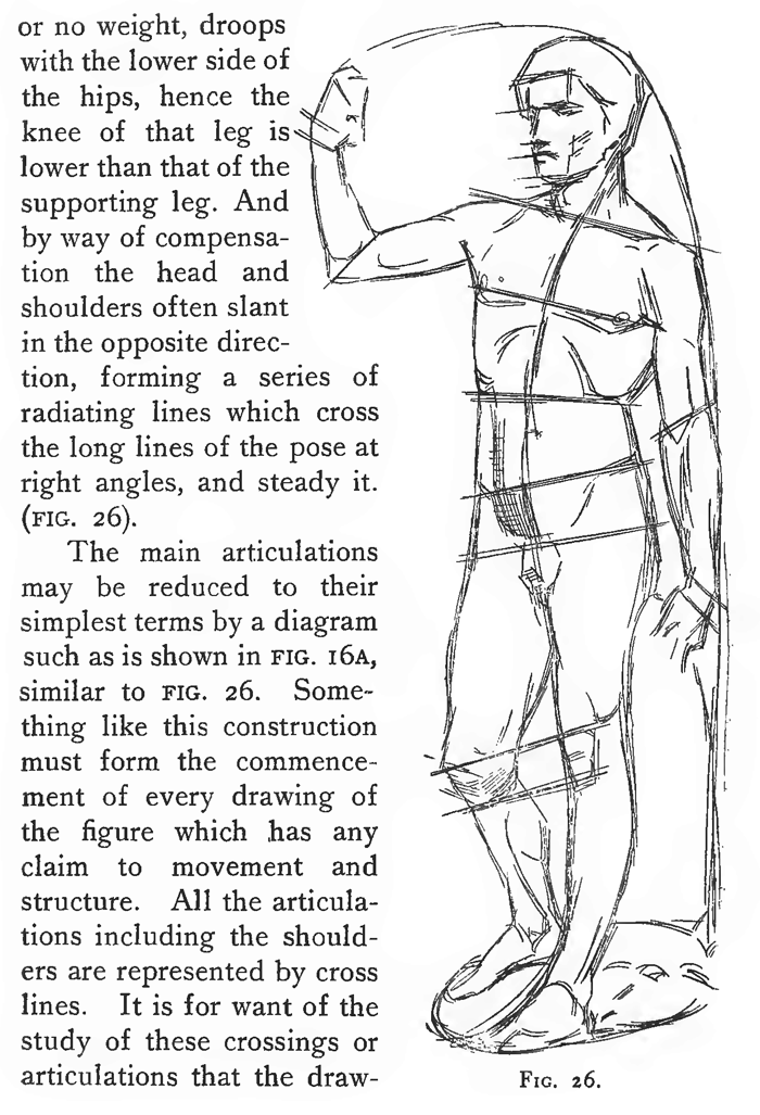drawing the human body an anatomical guide