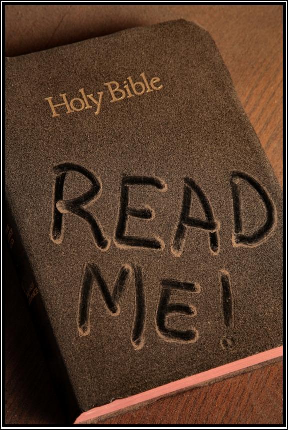 a guide to reading the bible